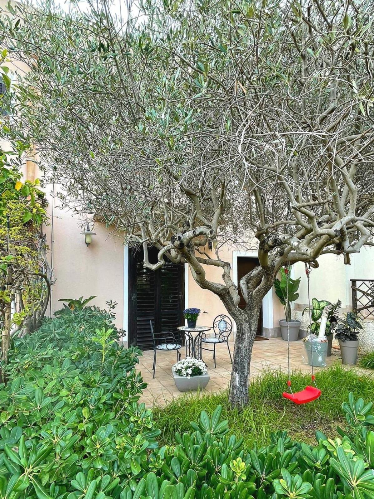 Alice Kite Resort مارسالا المظهر الخارجي الصورة